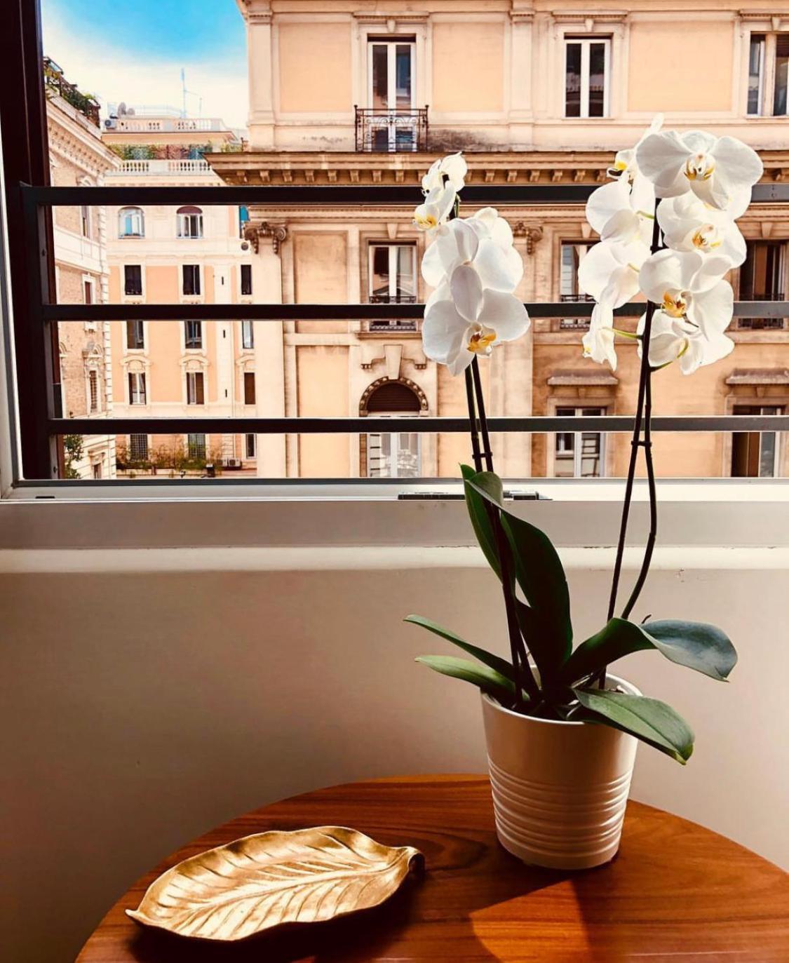 900 Piazza Del Popolo Bed and Breakfast Ρώμη Εξωτερικό φωτογραφία